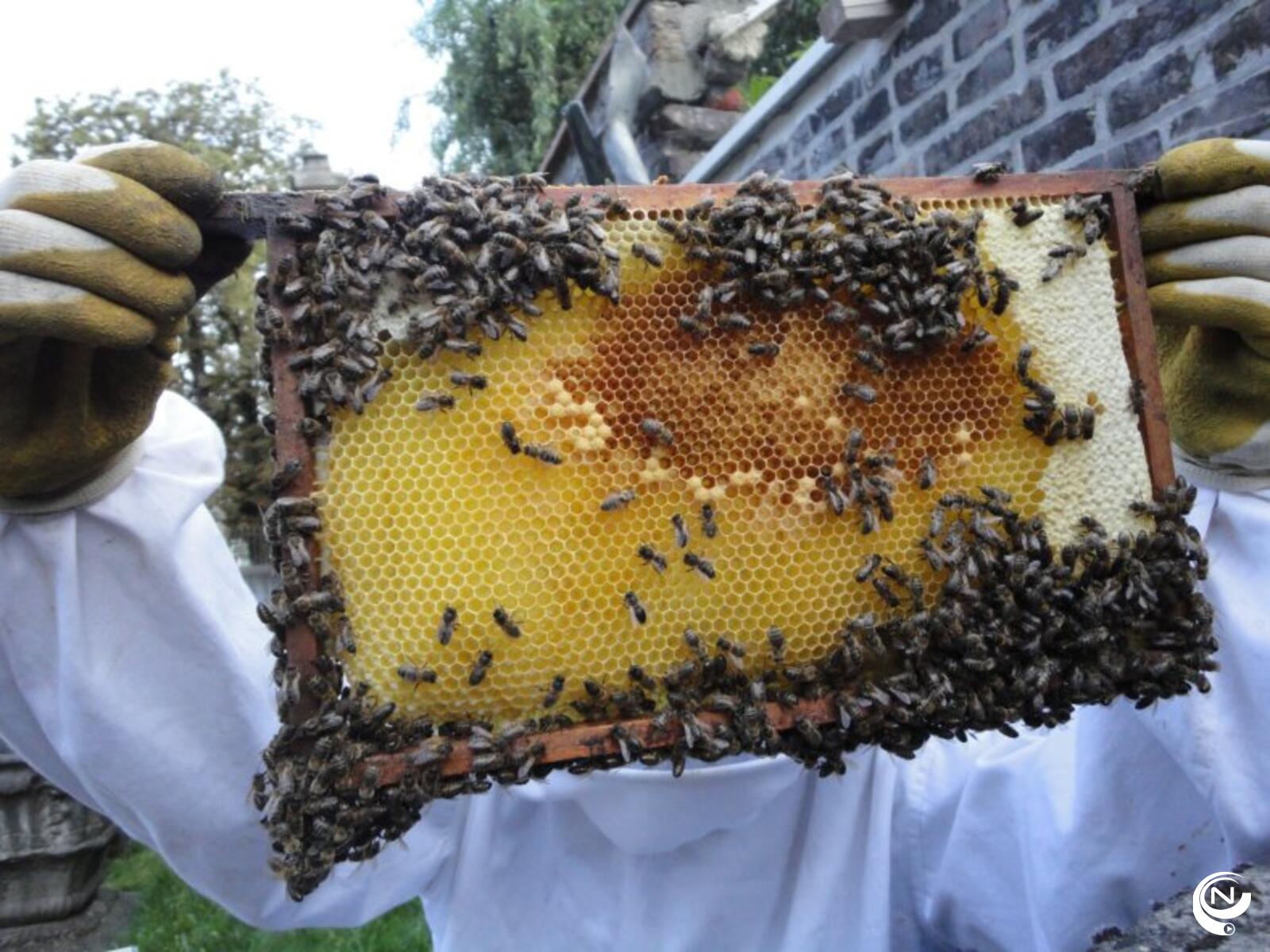 Echte nectar, echte bijen - 