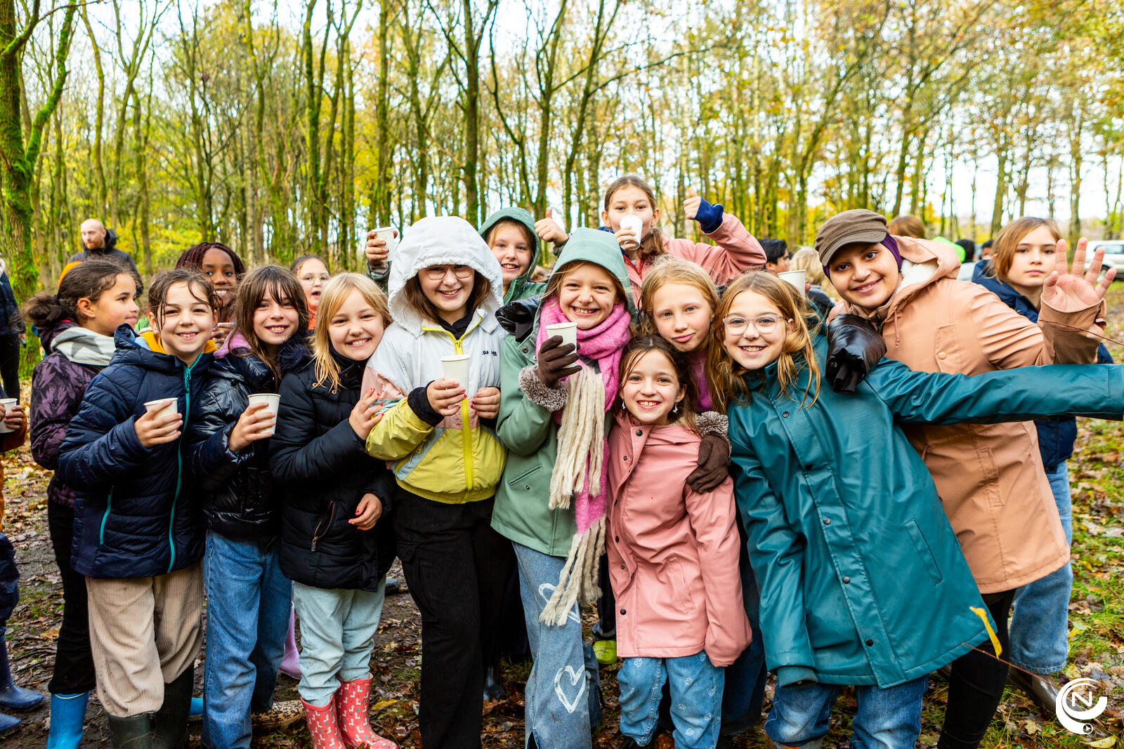 Bosgroep