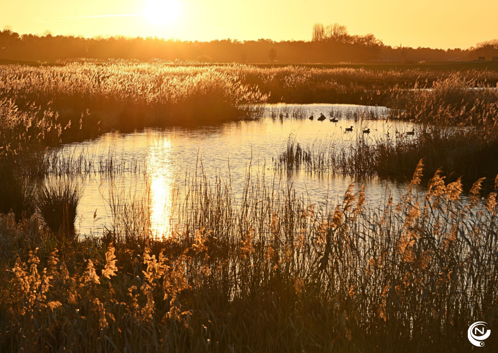 Rietland Zammel- Copyright Vilda