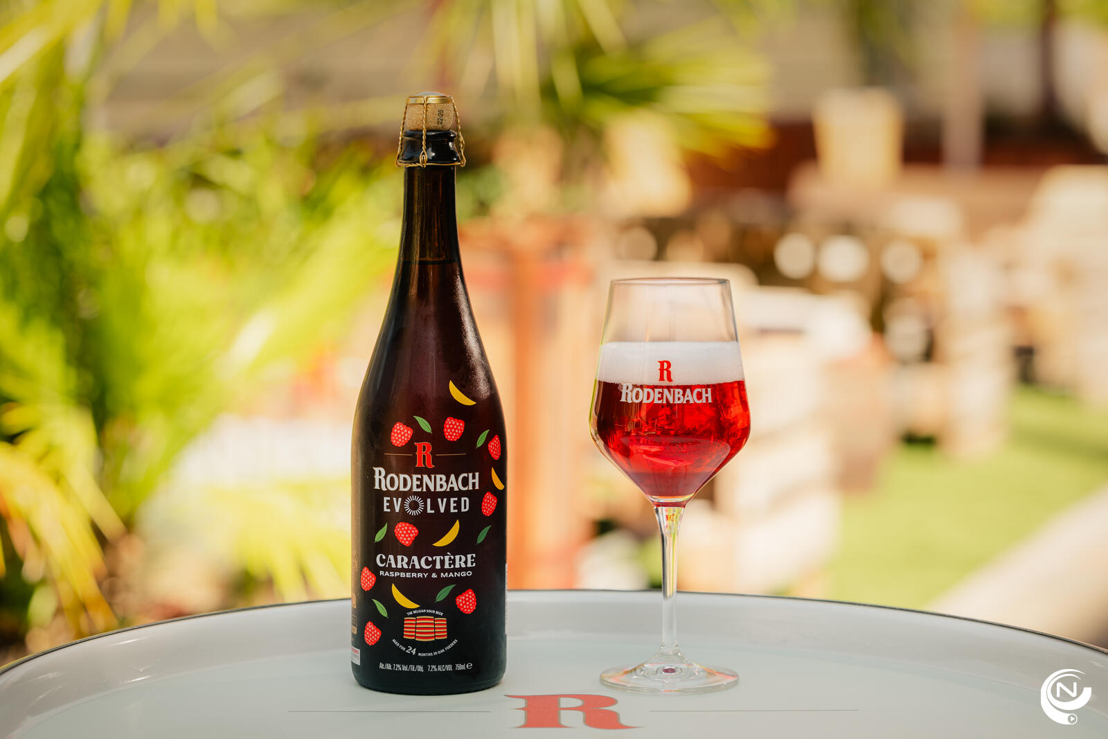 Rodenbach Evolved Caractère