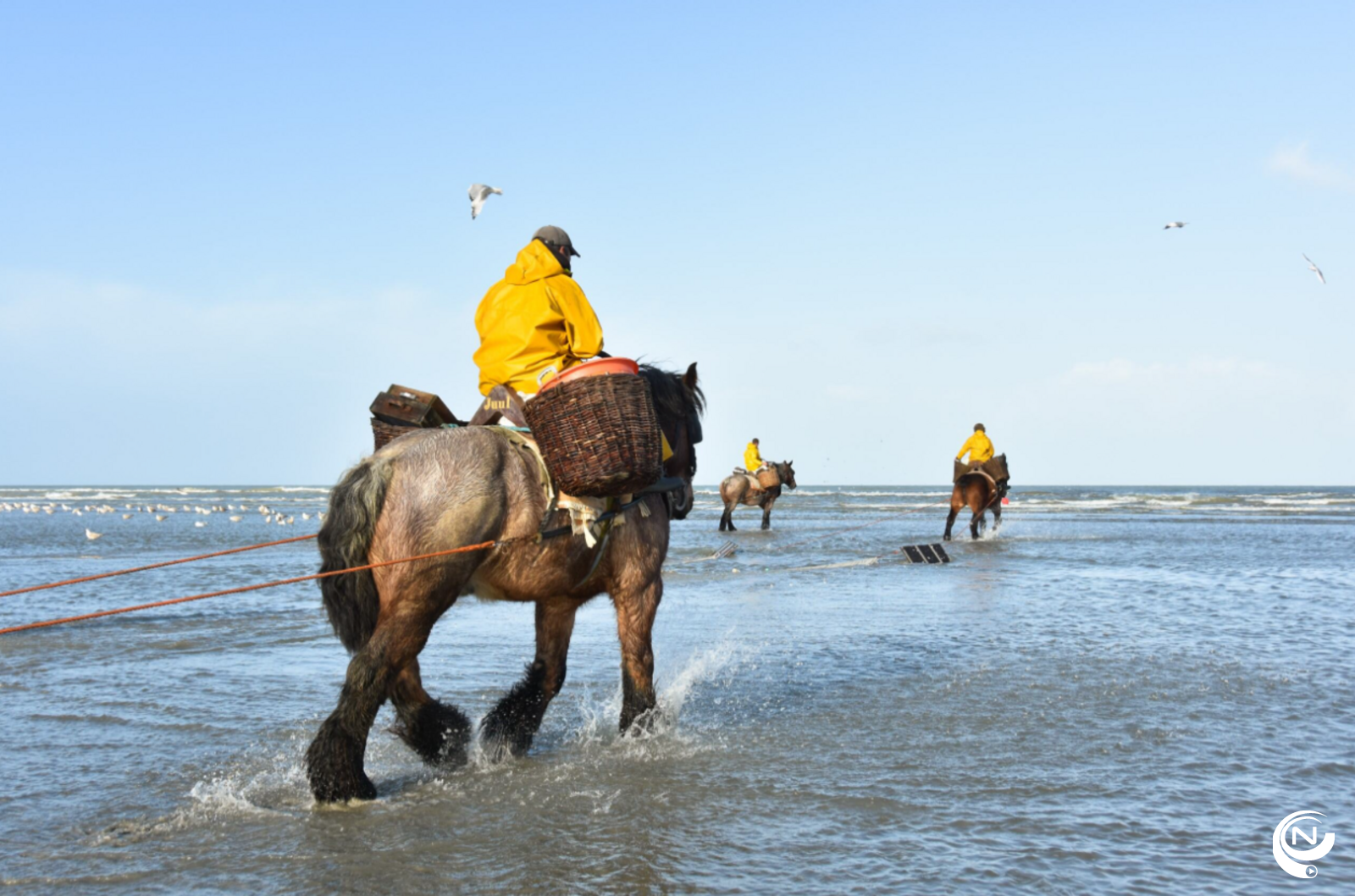 Tips4Trips Koksijde paardenvissers