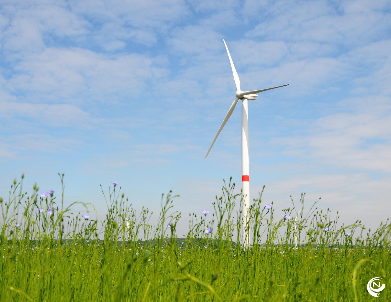 Windmolen Geel - rr