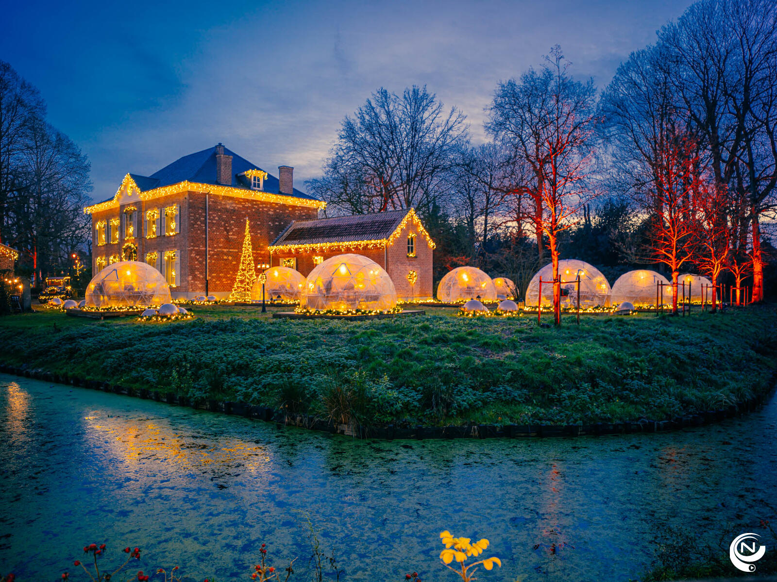 Bubble BBQ