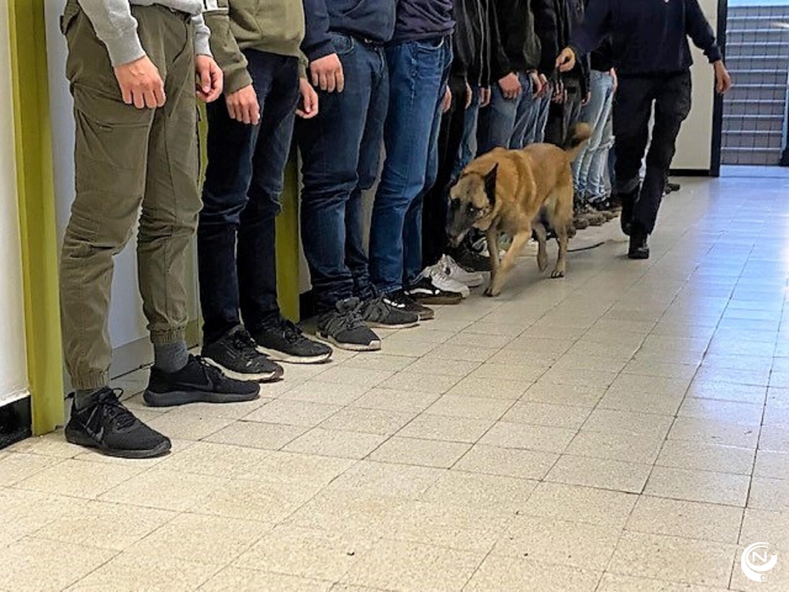 drugshond foto politie rr