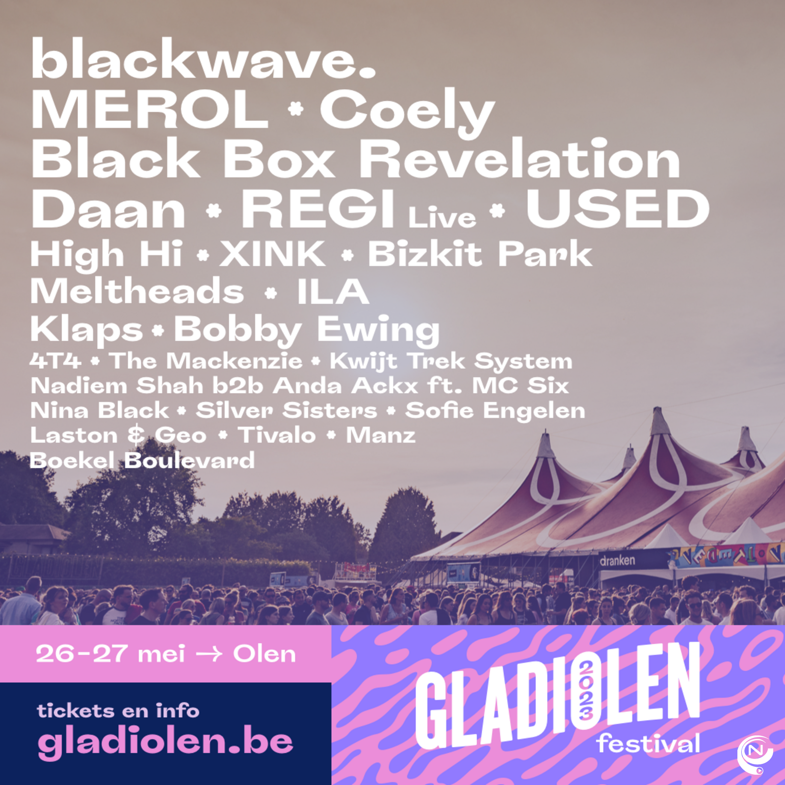 Gladiolen