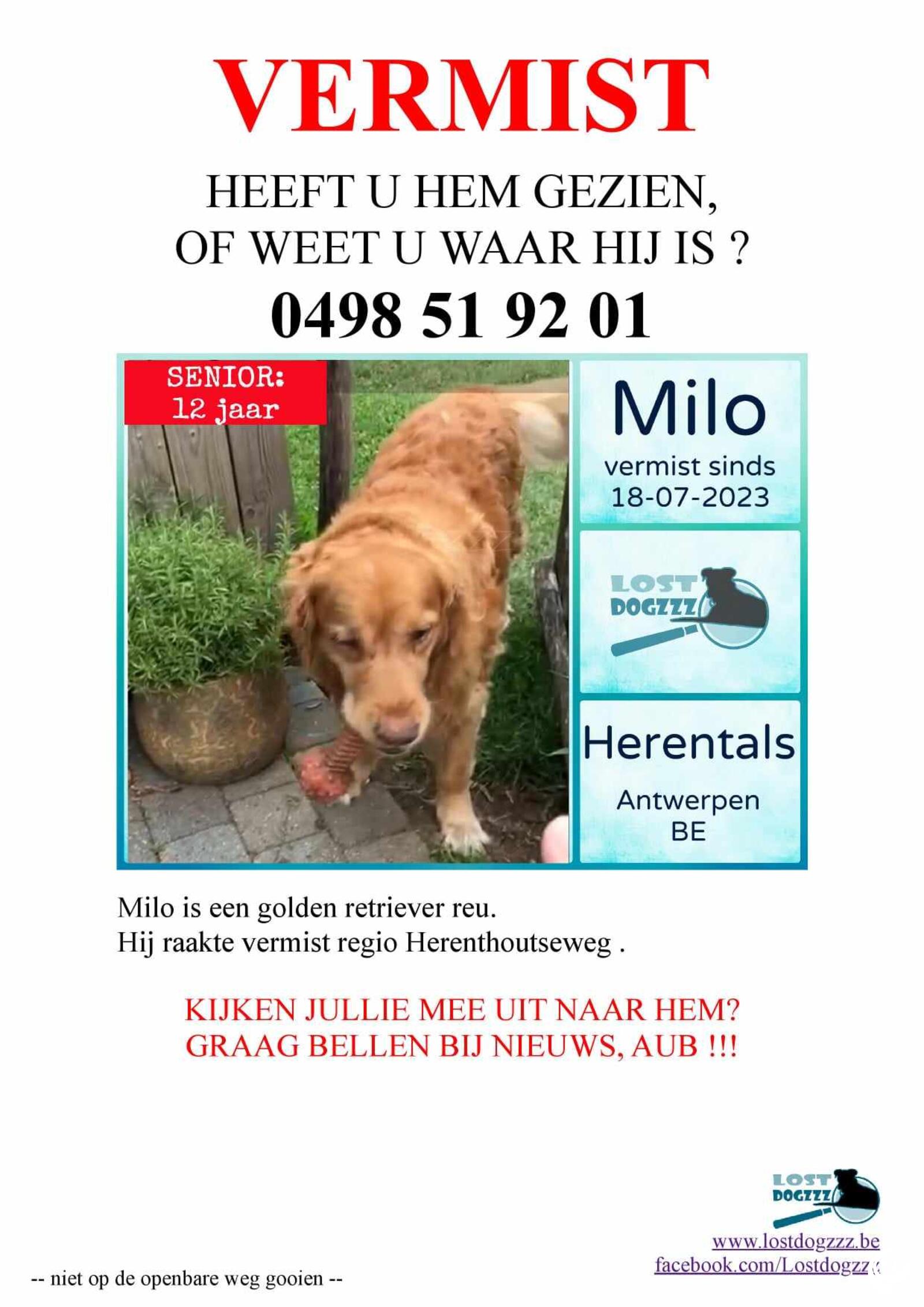 Hond Milo