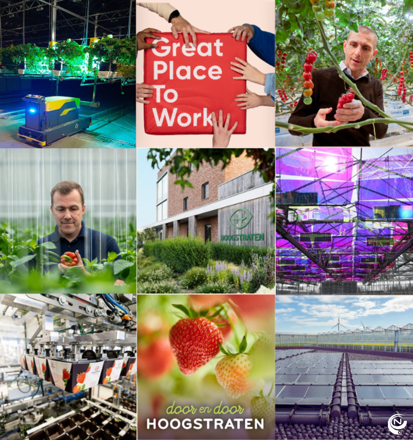 foto Hoogstraten CV