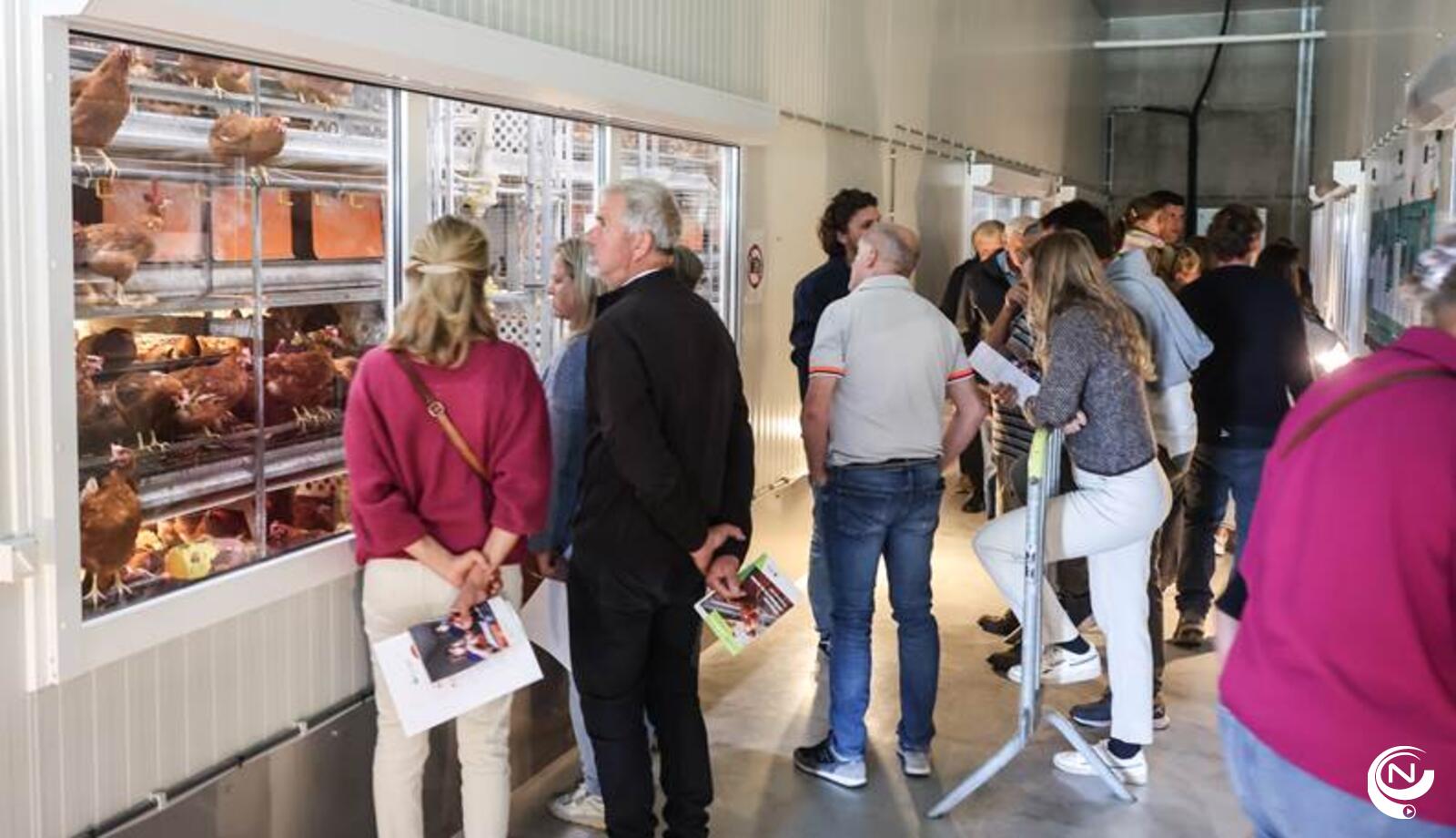 foto provincie Antwerpen - sfeerbeeld Dag van de Landbouw editie 2025 in de bezoekersgang van de leghennenstal - foto :  Koen Fasseur voor Proefbedrijf Pluimveehouderij