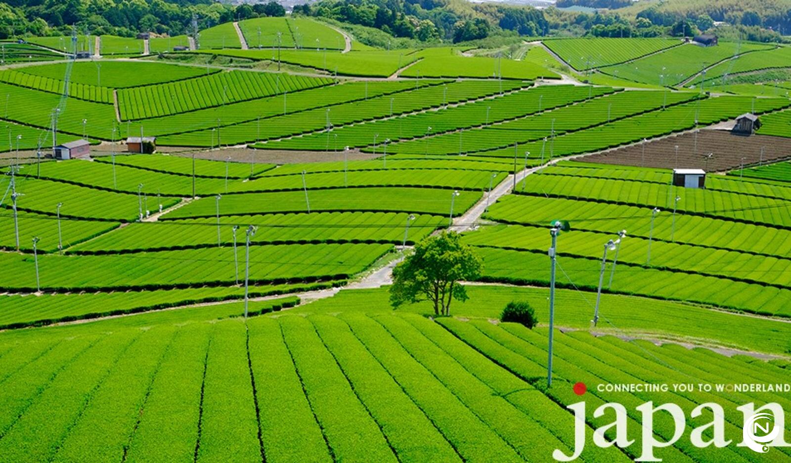 Japan