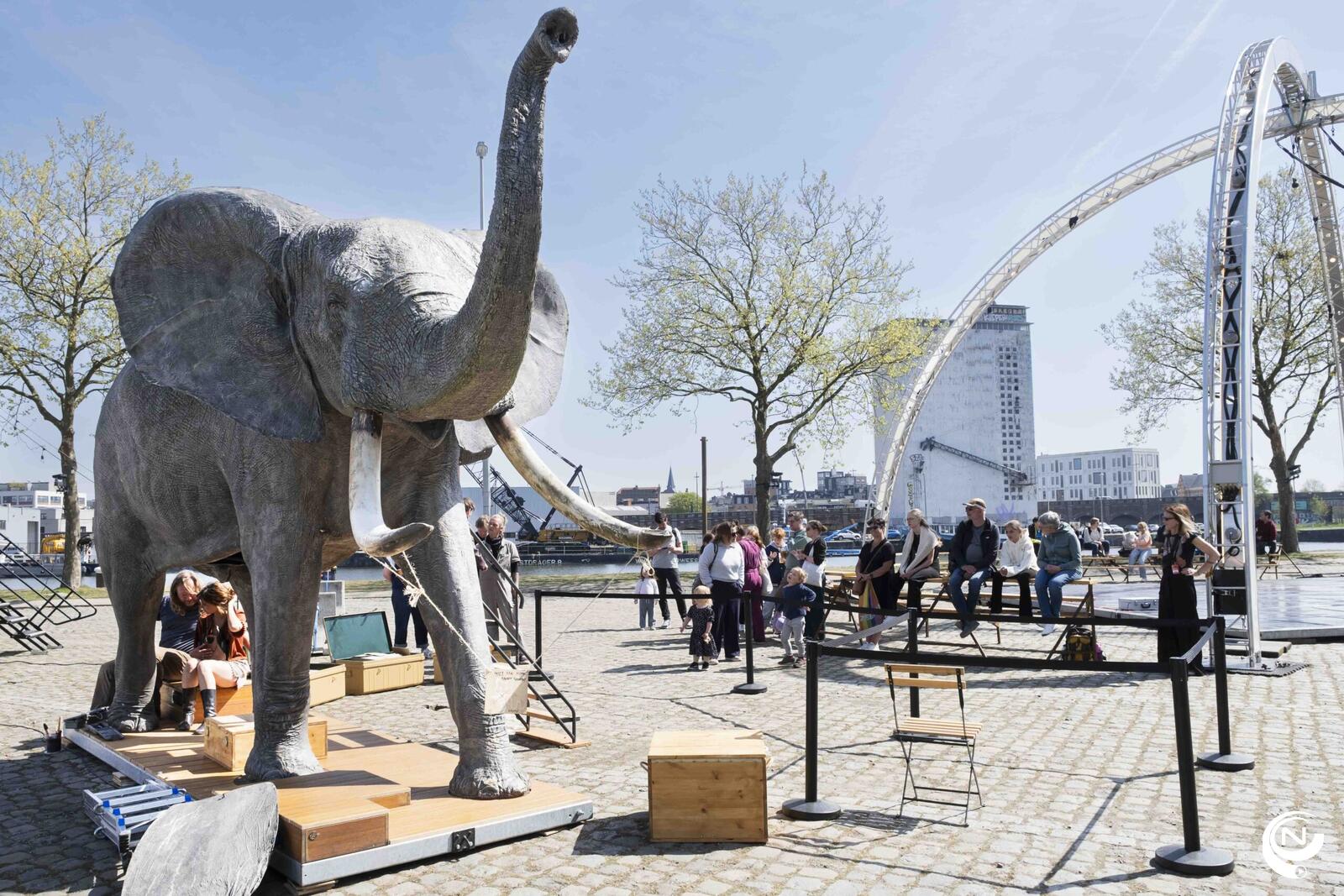 Tembo 