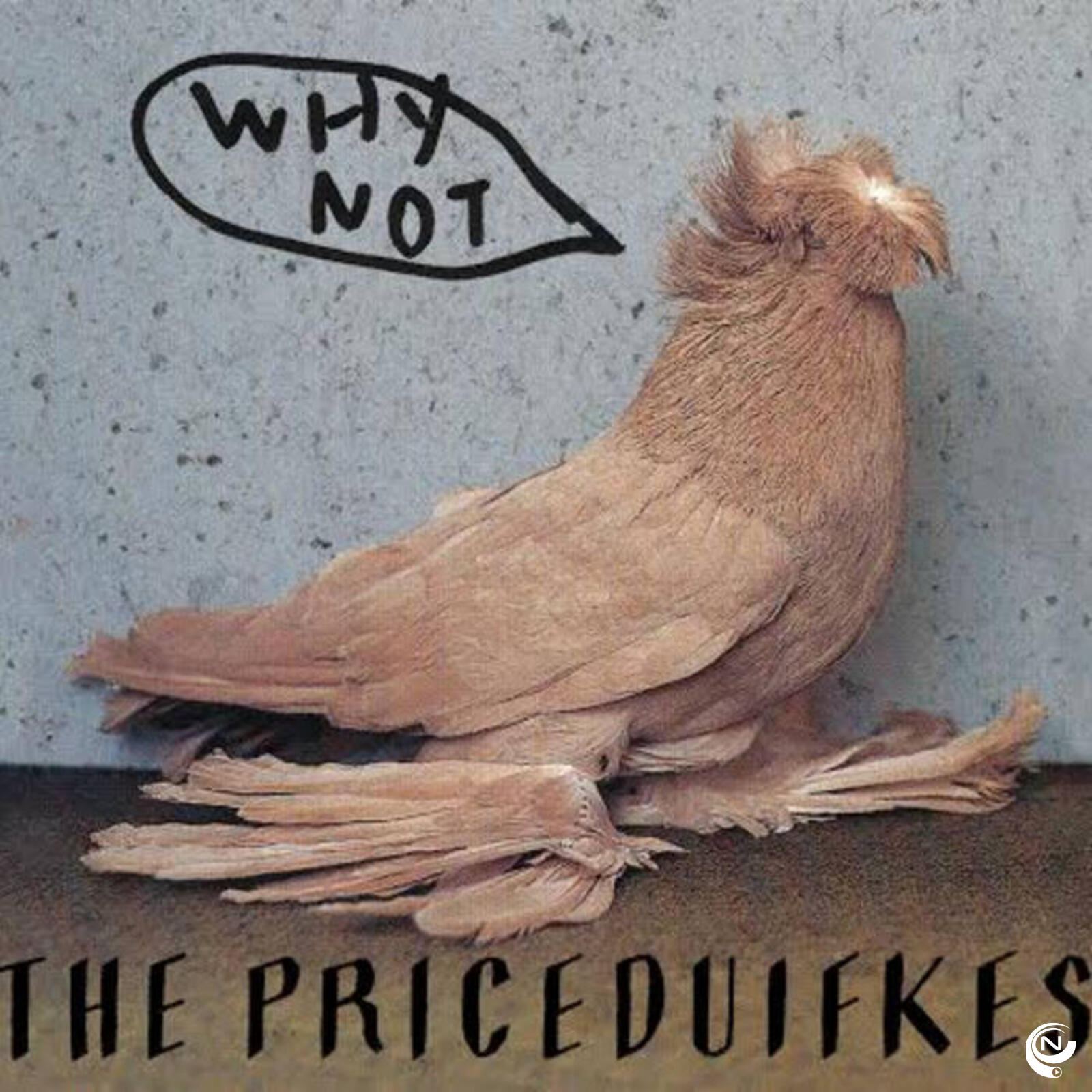 Priceduifkes rr