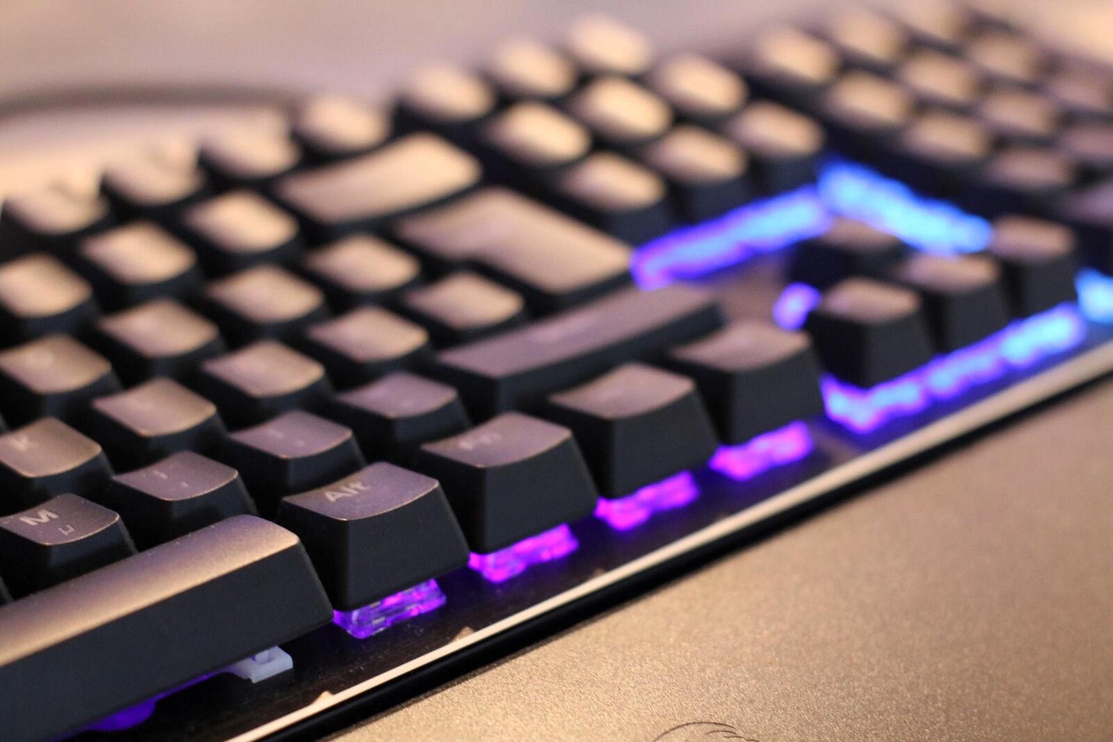 pexels rr
