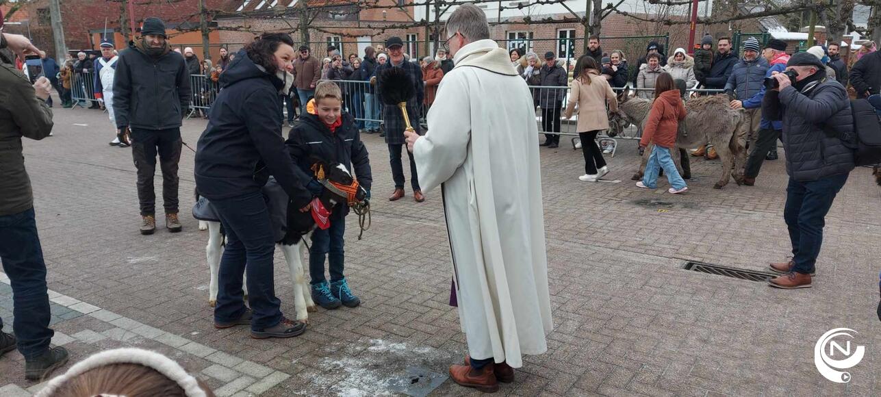 Toontje Geel Bel 