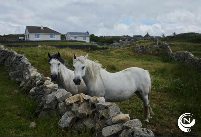 Tips4Trips Belfast natuur