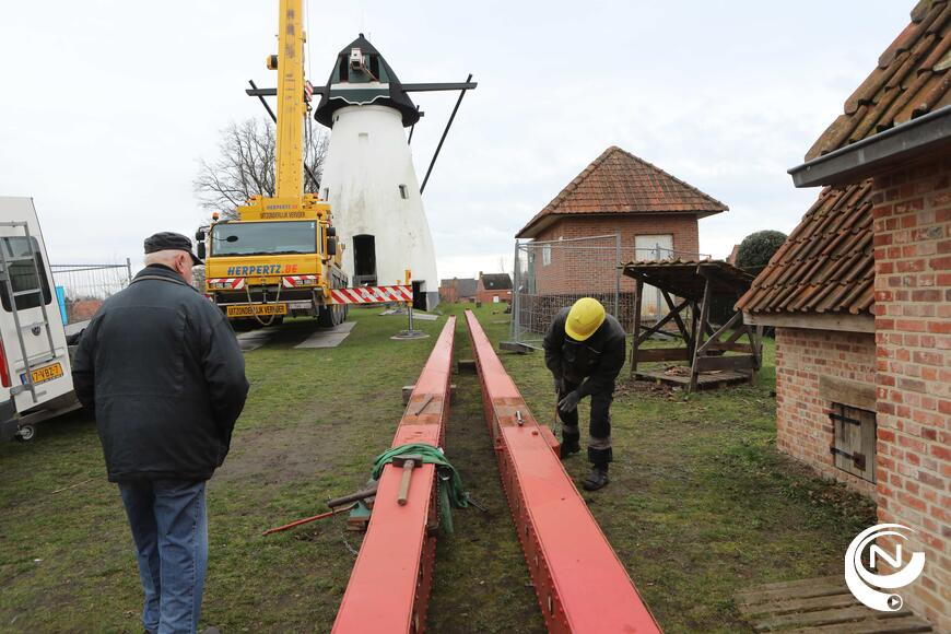 Ezaart Molen - foto Mol 