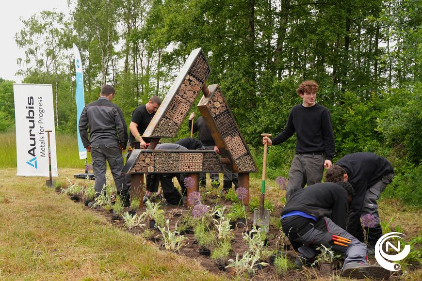 Origineel insectenverblijf in vorm van Aurubis logo aan fiets-o-strade Olen 