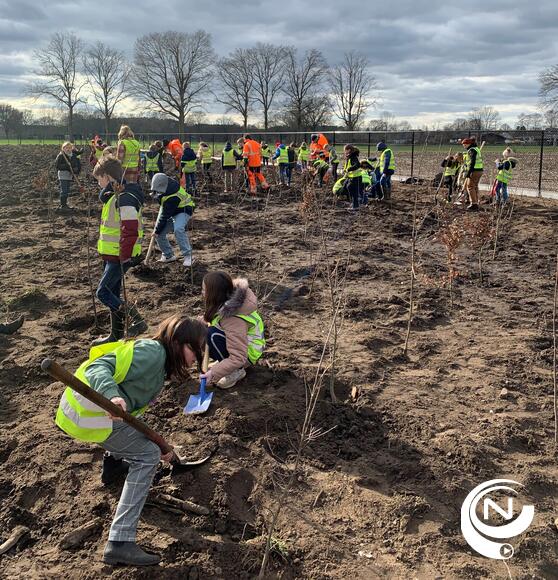 Basisschool De Knipoog plant bos aan