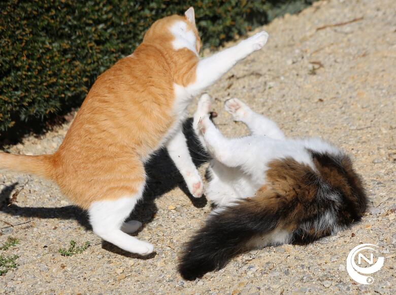 Buddy & Holly van 't Dierenthuisje Happy