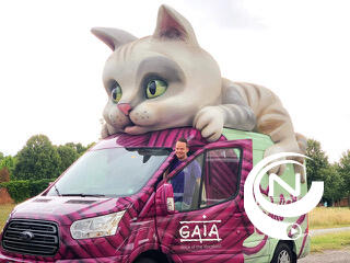 Herentalse Zwerfpoezen (HZP) Gaia Katmobiel