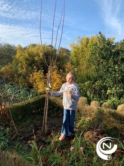 1001 bomen Herenthout