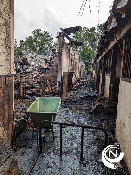 Brand schapenstallen vzw Kemp Geel Ten Aard 