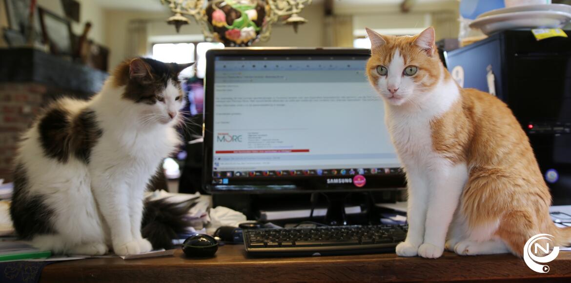 Buddy & Holly aan de pc van NNieuws redactie 