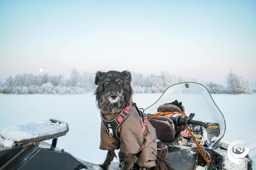 Tips4Trips de mooiste kersthotels Herangtunet Mountain Lodge Valdres, Noorwegen sneeuwtocht.