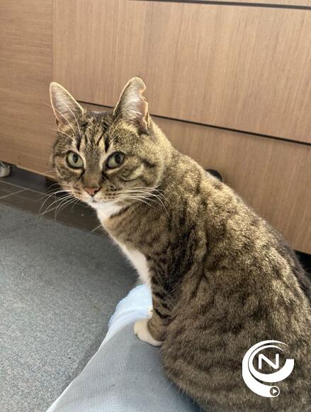 Poes Roza van het Eilandje dankt ook alle sympathisanten van de HPZ