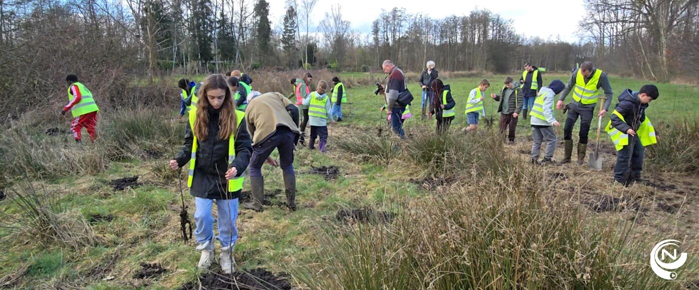 Molse schoolkinderen planten 1.000 bomen  met steun van Rotary Mol 