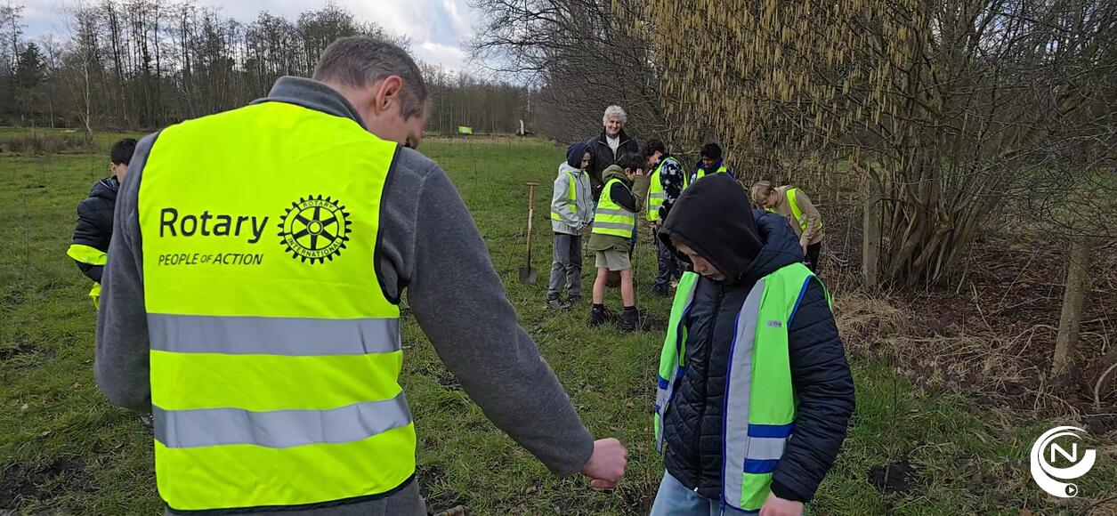 Molse schoolkinderen planten 1.000 bomen  met steun van Rotary Mol 