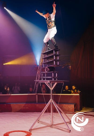 Circus Pipo 