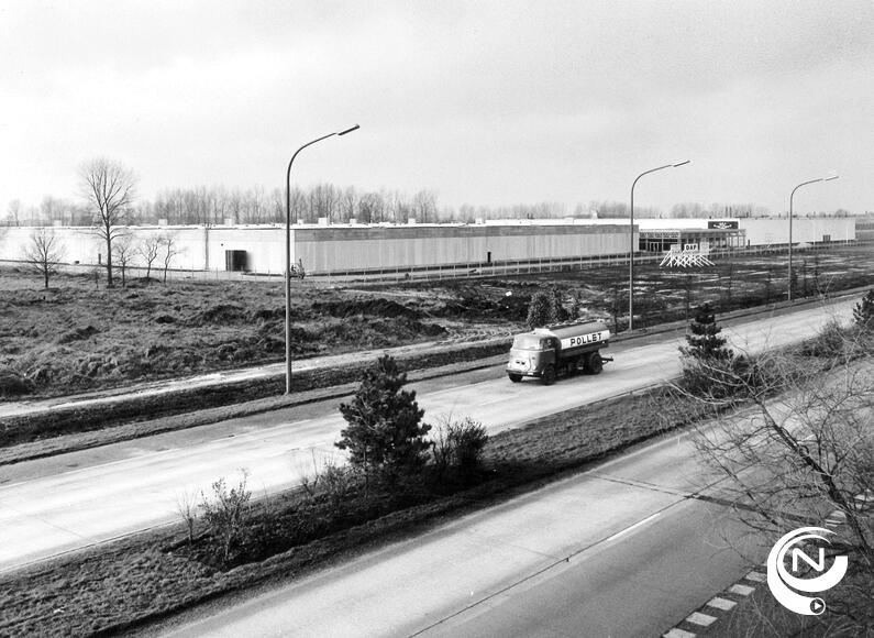 Daf Pollet