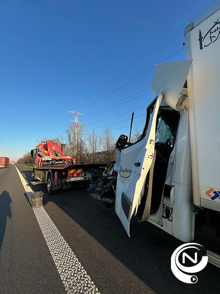 E313 : kop-staartbotsing  aan Herentals-West Grobbendonk 