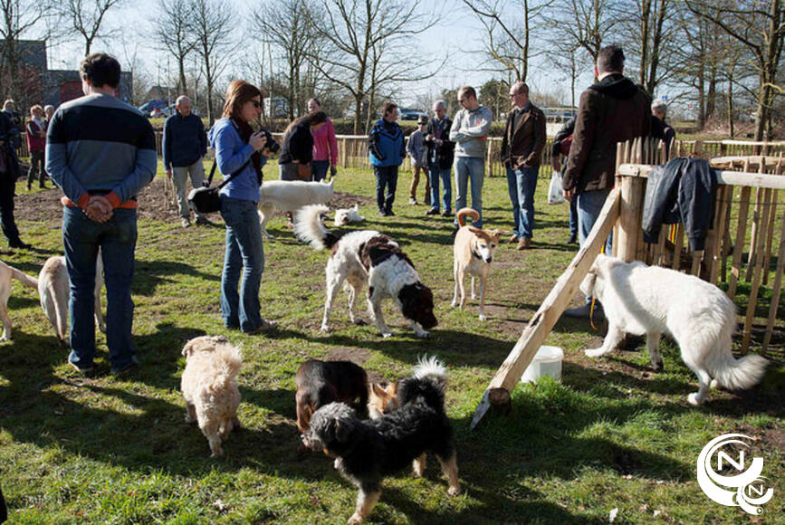 hondenweide Grobbendonk