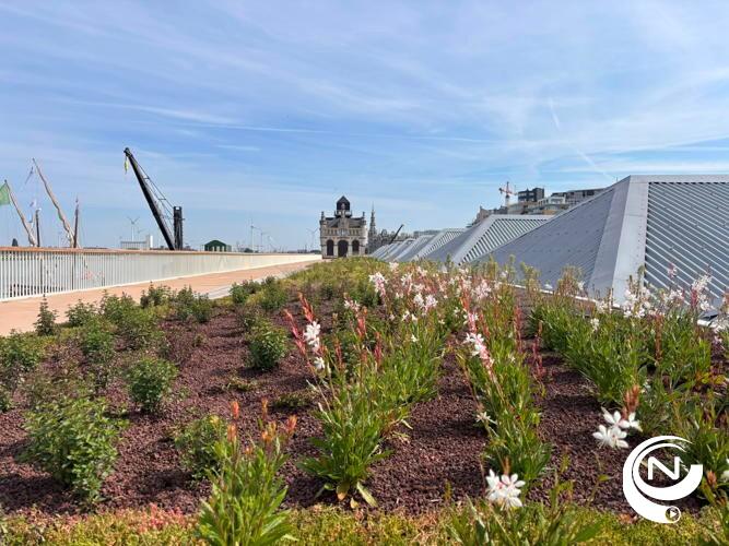 Historische hangars en wandelterras Scheldekaaien vernieuwd en opnieuw open