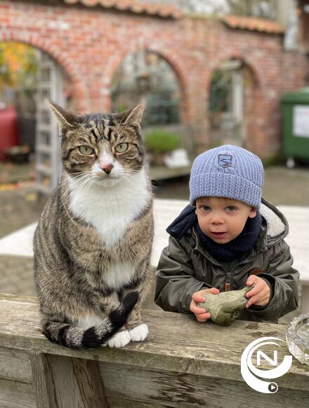Poes met Maurice uit de Molekens : dank aan DHZ Verwimp 