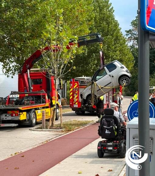 Microwagen belandt op z'n dak na klap tegen boom aan Herentalseweg Olen : bestuurster (77) gewond