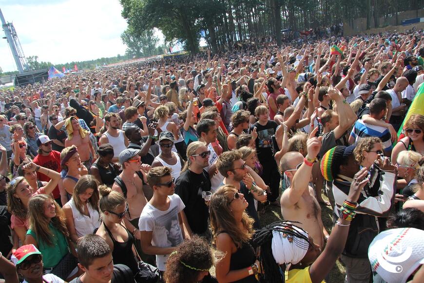 Reggea Geel