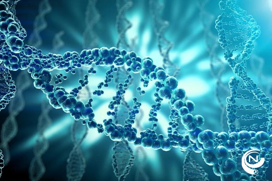 UZ en KU Leuven : 'Centrum menselijke erfelijkheid ontwikkelt DNA-test om kanker op te sporen'