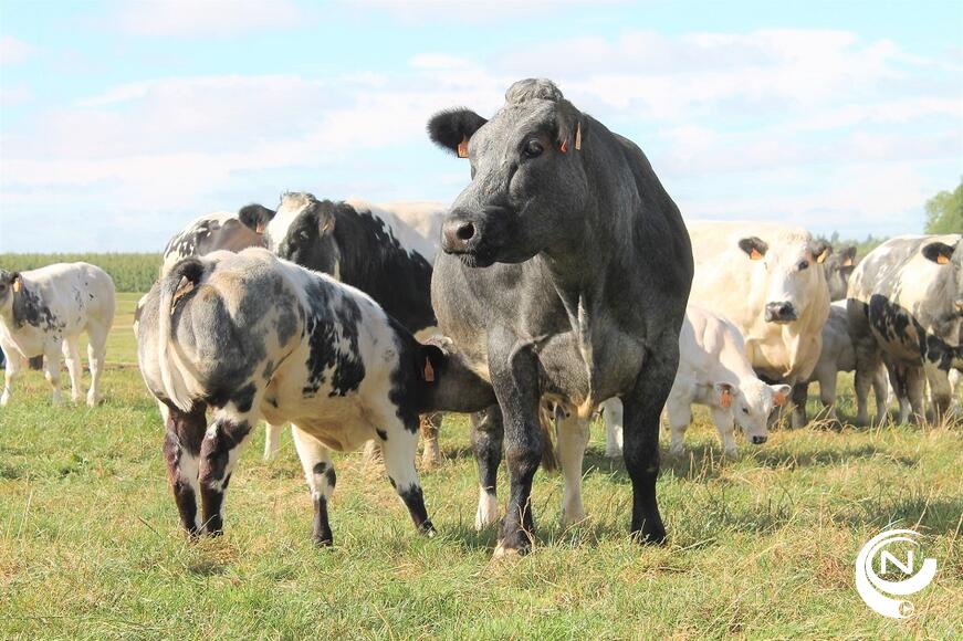 Landbouw in de Kempen : onmisbaar