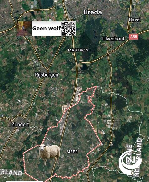 Géén Wolf actie