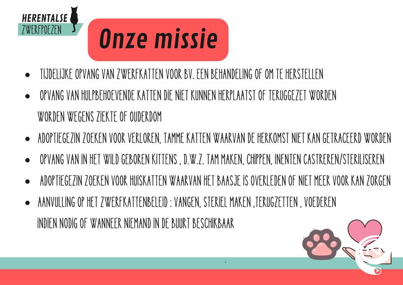 Missie HZK zwerfkatten 