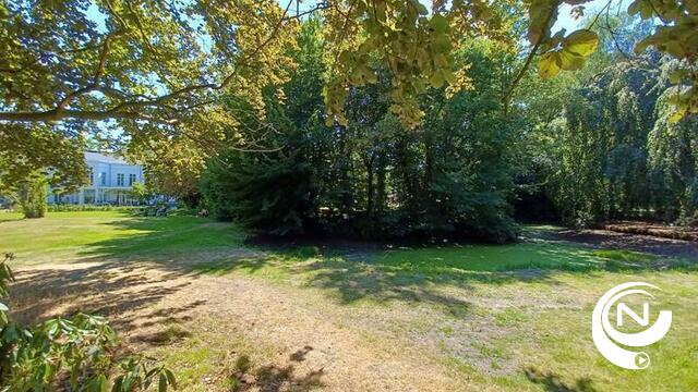 Volgende fase voor opwaardering park Berlaarhof : vijver wordt in ere hersteld