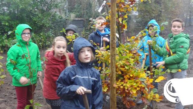Kinderburgemeester Jayden Vervoort plant Vriendschapsbos in Vorselaar