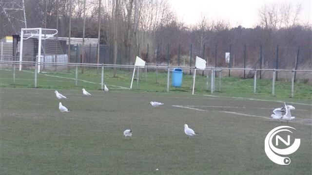 Jeugdwedstrijden voetbal afgelast 
