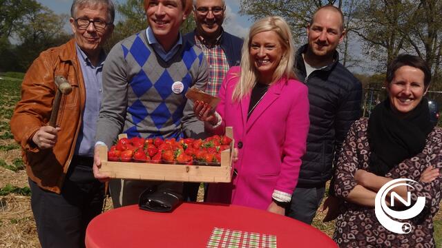 N-VA Nijlen koopt primeuraardbeien Op Het Veld