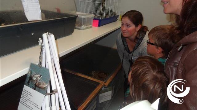 Meer dan 1000 bezoekers voor opendeur Vogelopvangcentrum Herenthout 