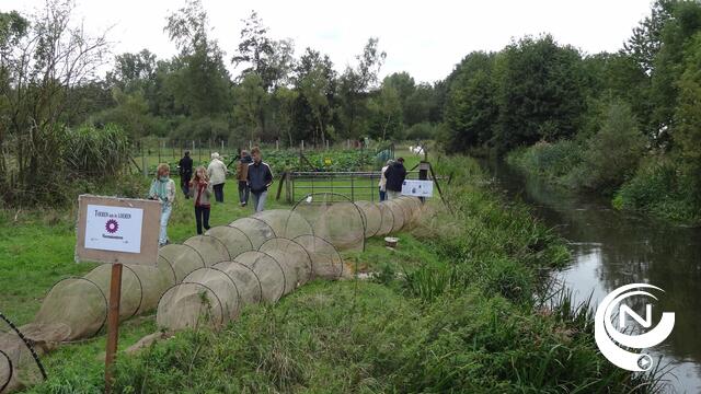 Natuurbeheerswerken tijdens de dag van de Natuur in Schupleer in Vorselaar 