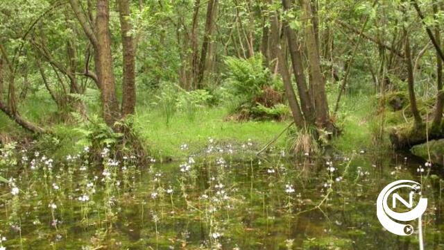 Natuurwandeling Lovenhoek Vorselaar  met aansluitend koffietafel
