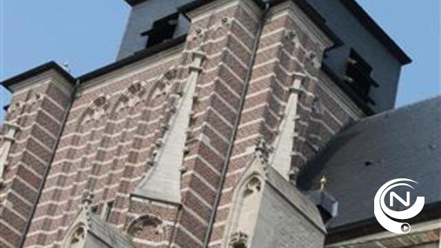 Nieuwtjes Geel